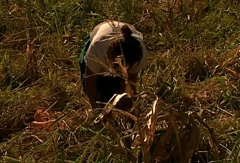 Video frame