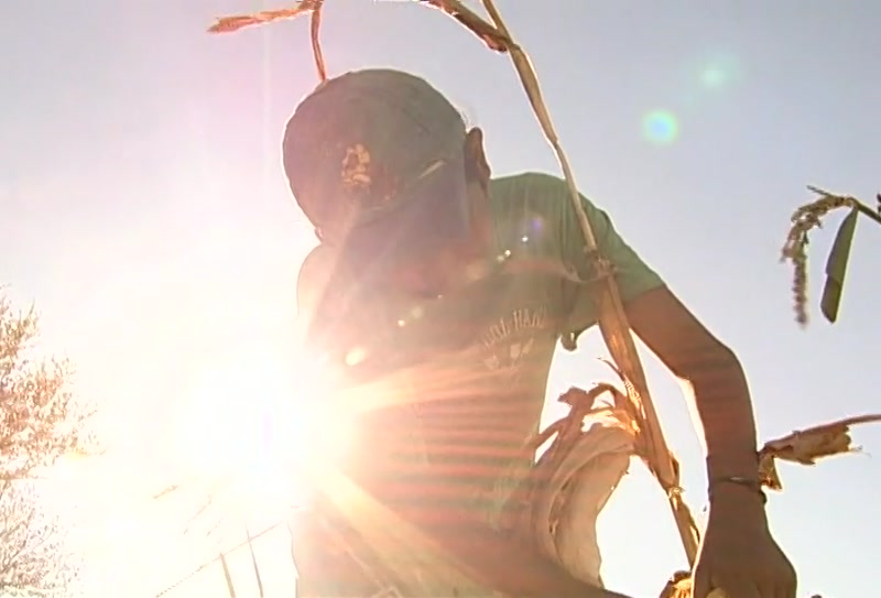 Video frame