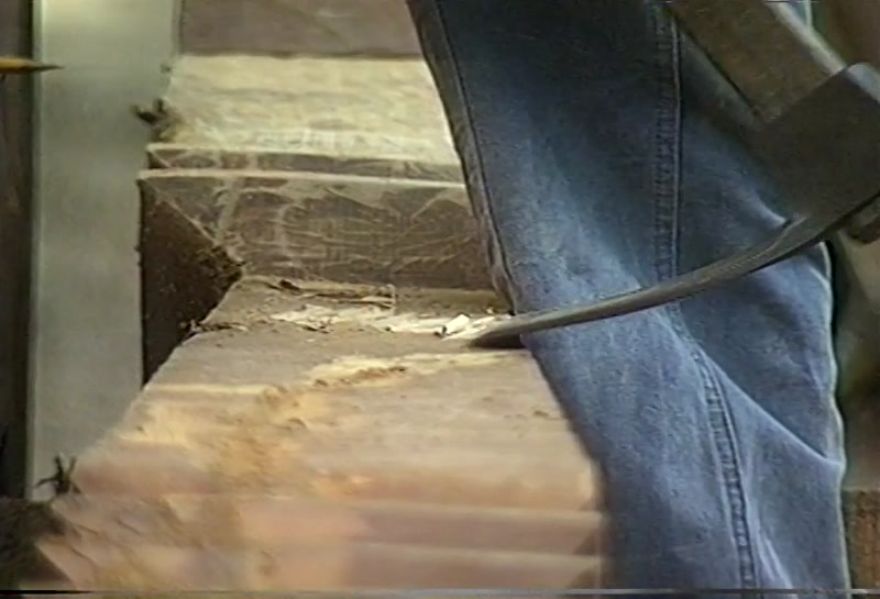 Video frame