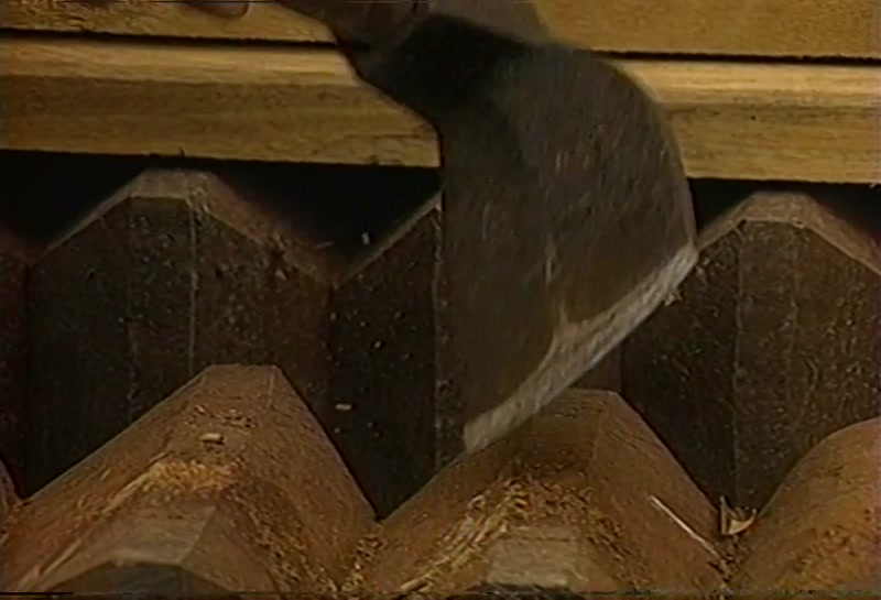 Video frame