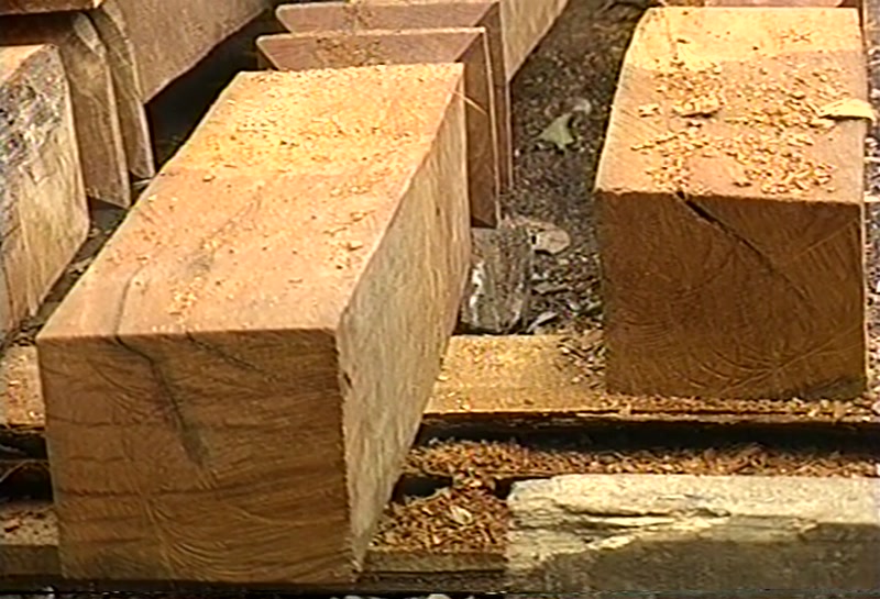 Video frame