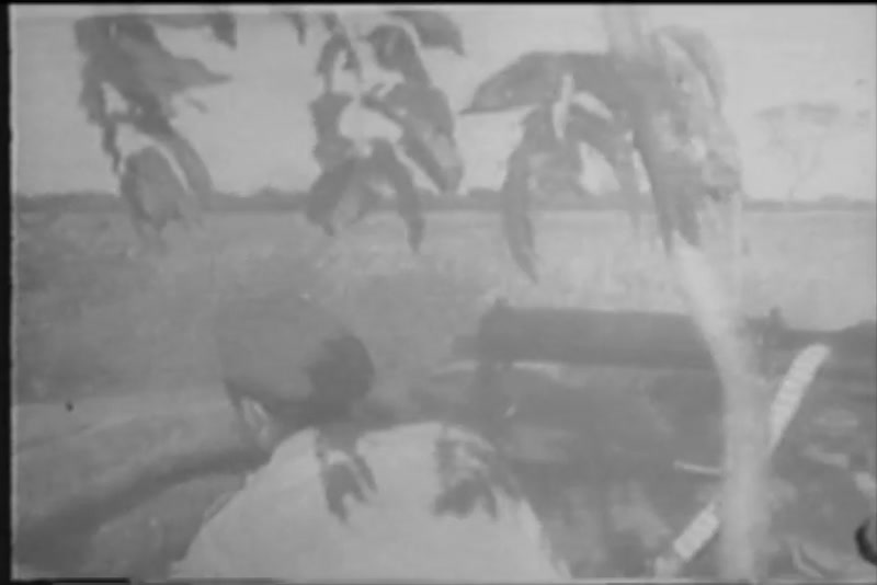 Video frame