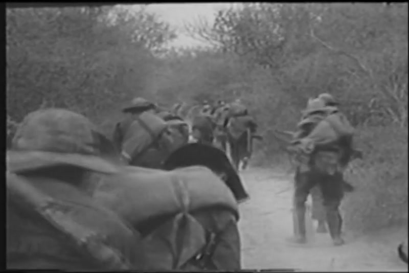 Video frame